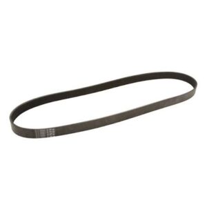 BMW Serpentine Belt 11287618848